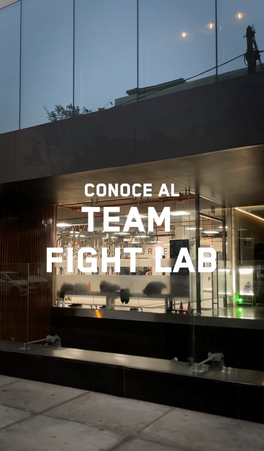 portafolio-fightlab-1-caratula.png
