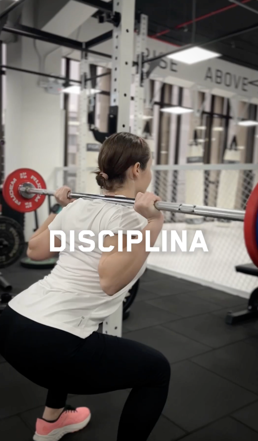 portafolio-fightlab-3-caratula.png