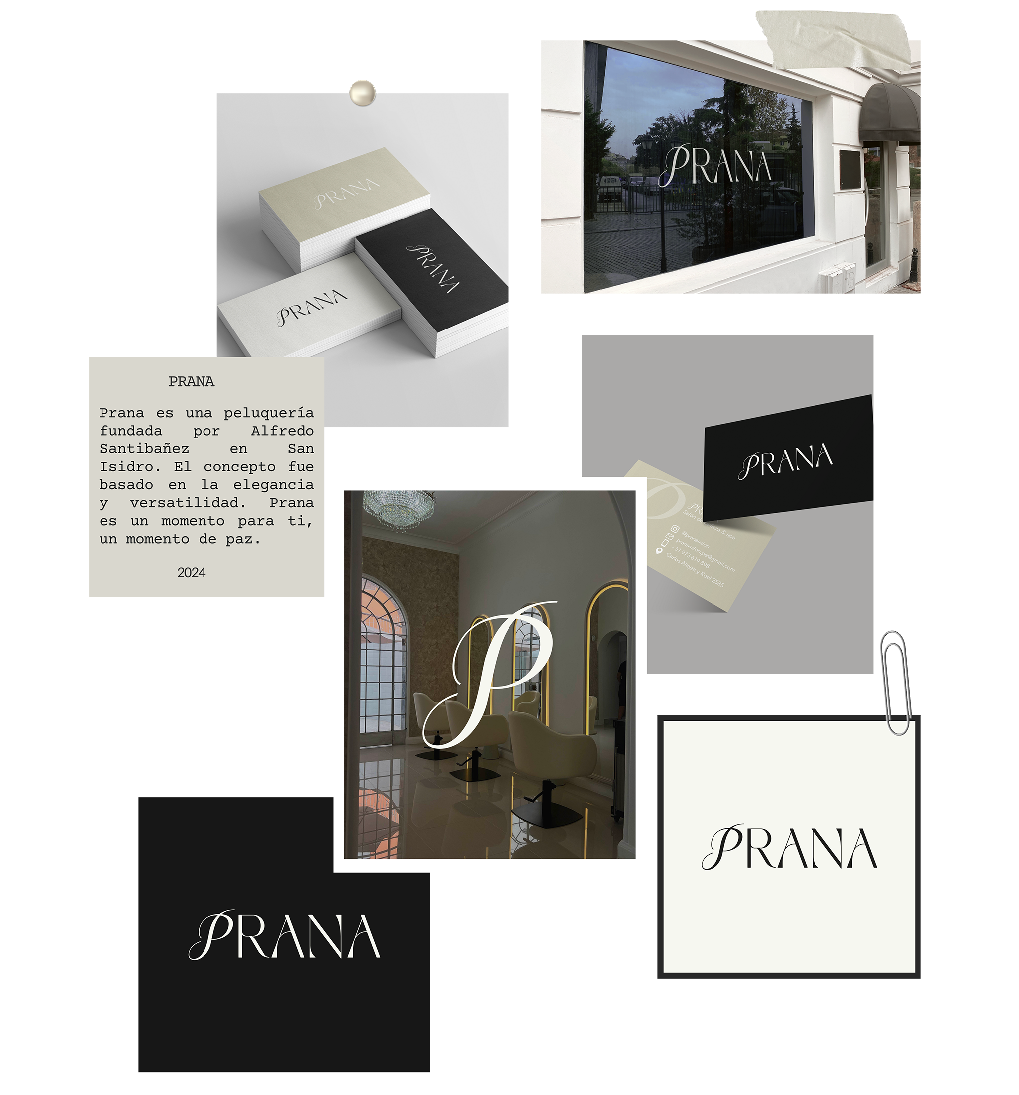 prana-portafolio-1.png